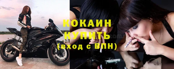 соль ск Алзамай